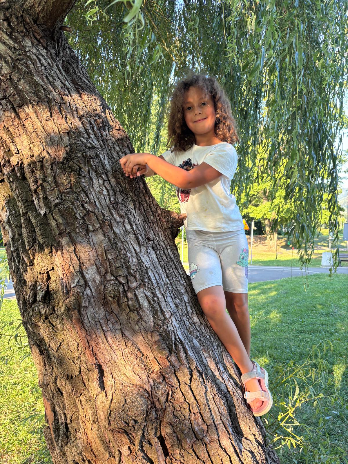 Girl climbing a willow tree, original photo