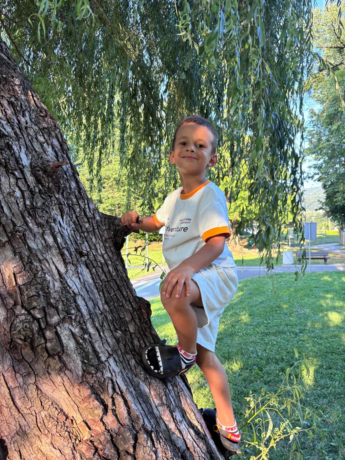 Boy climbing a willow tree, original photograph